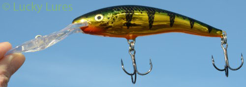 Barsche waren und sind ein Top-Farbmuster beim Deep-Tail Dancer von Rapala..